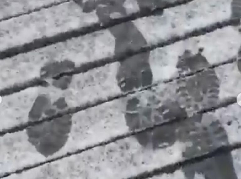 Anticipan un fin de semana frío, lluvioso y con "nevadas fuertes"
