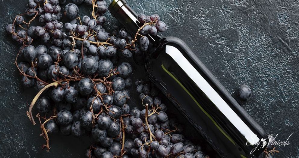 Bodegas Neuquinas invitan a la Semana del Vino con degustaciones, clases de cocinas y shows