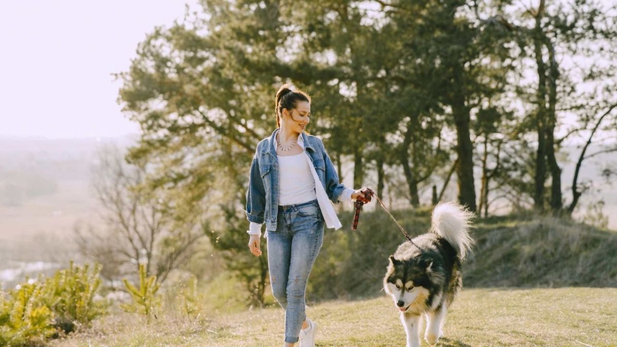 La Asociación Protectora de Mascotas realizará una feria americana para recaudar fondos