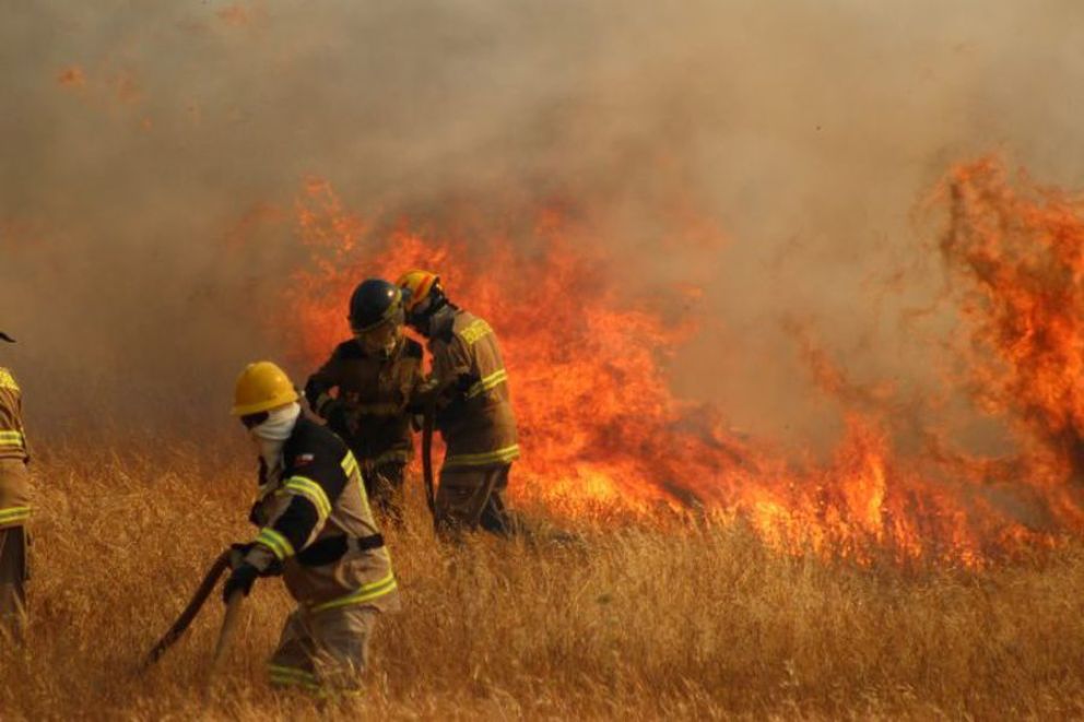 Los incendios forestales constituyen la causa más importante de destrucción de bosques