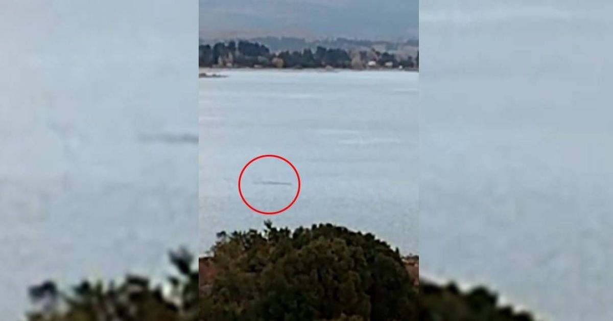 Bariloche: ¿Grabaron al Nahuelito?