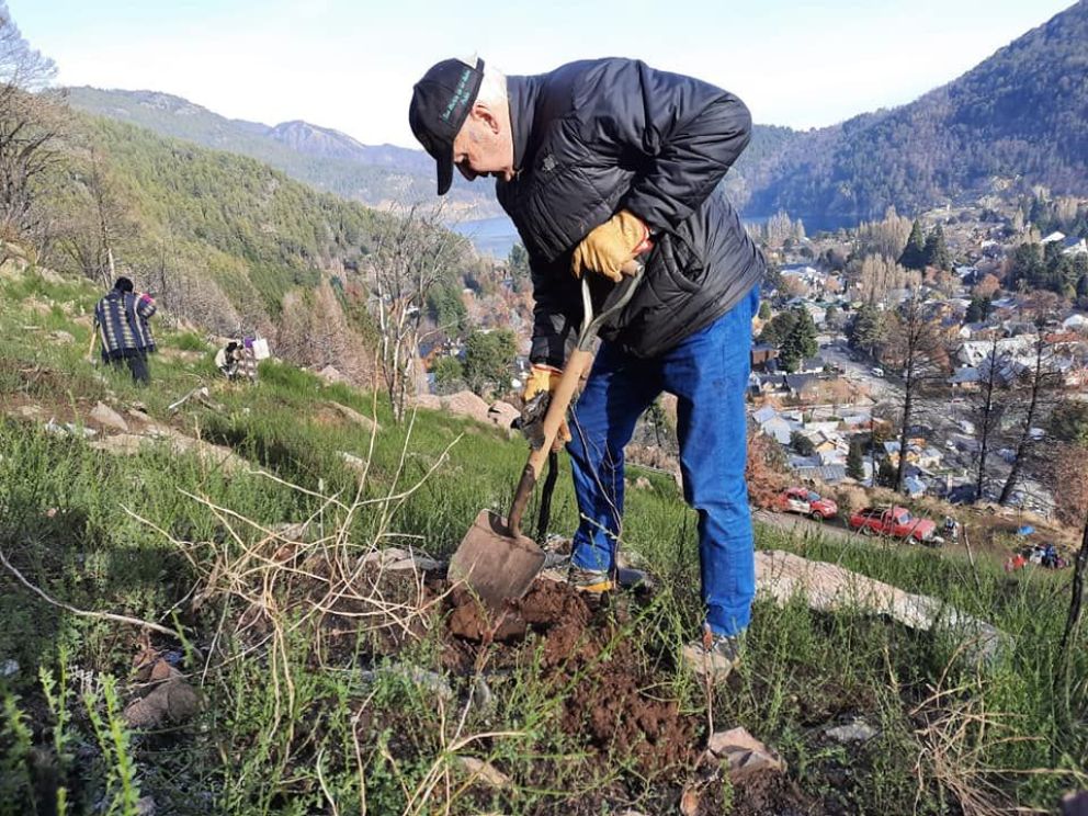 Plantaron 350 árboles nativos en el cerro Comandante Díaz para remediar el incendio de 2021