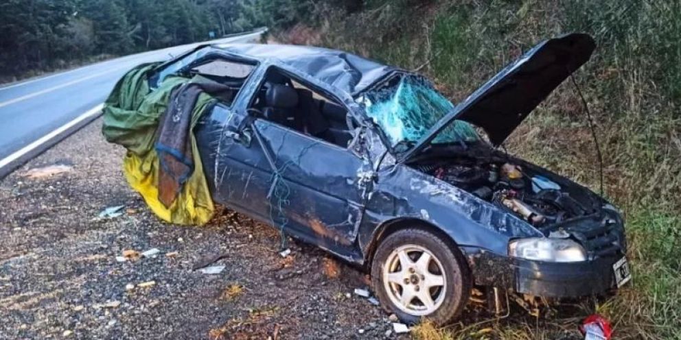 Viajaba de Bariloche a La Angostura y volcó por esquivar dos jabalíes